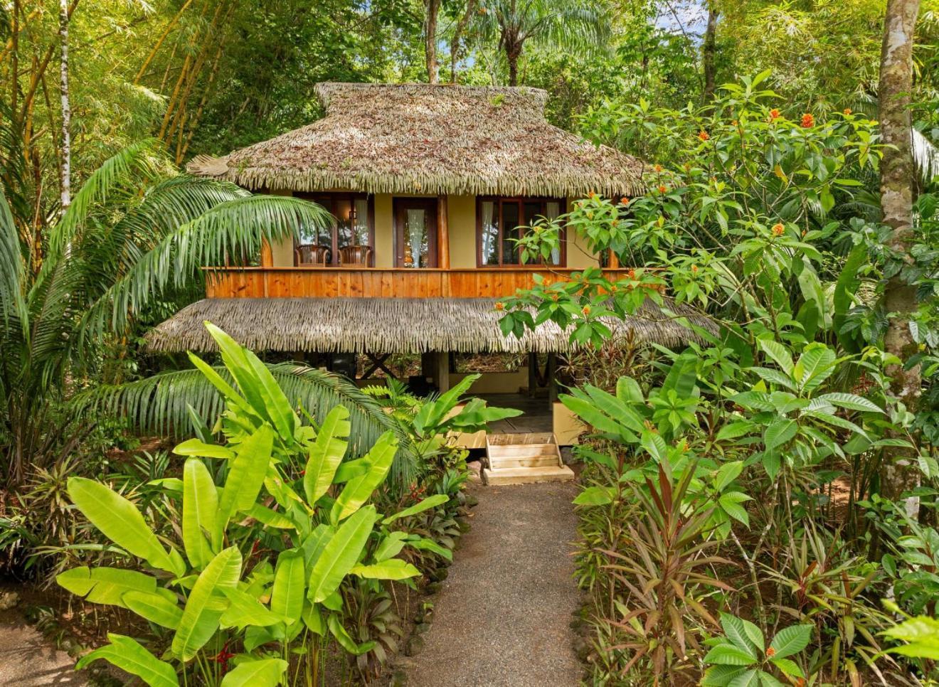 Copa De Arbol Beach & Rainforest Resort Драке Экстерьер фото