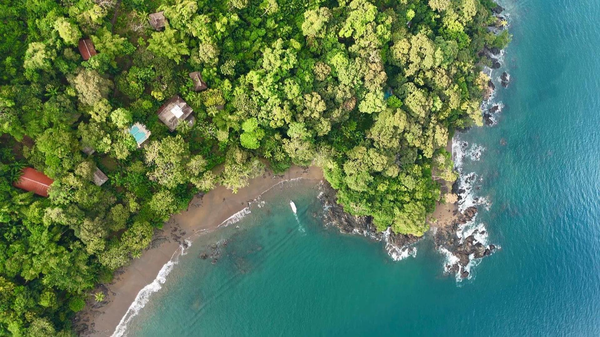 Copa De Arbol Beach & Rainforest Resort Драке Экстерьер фото